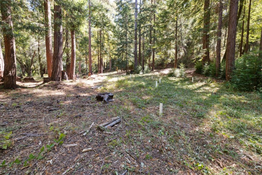 18880 Highway 9 Property Photo 27