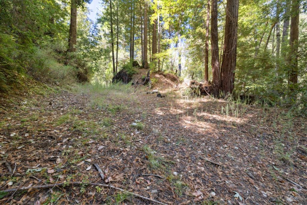 18880 Highway 9 Property Photo 28
