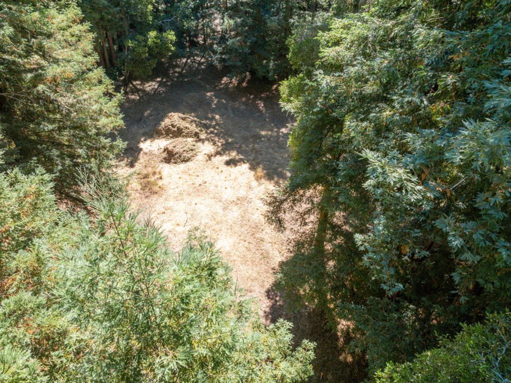 18880 Highway 9 Property Photo 32