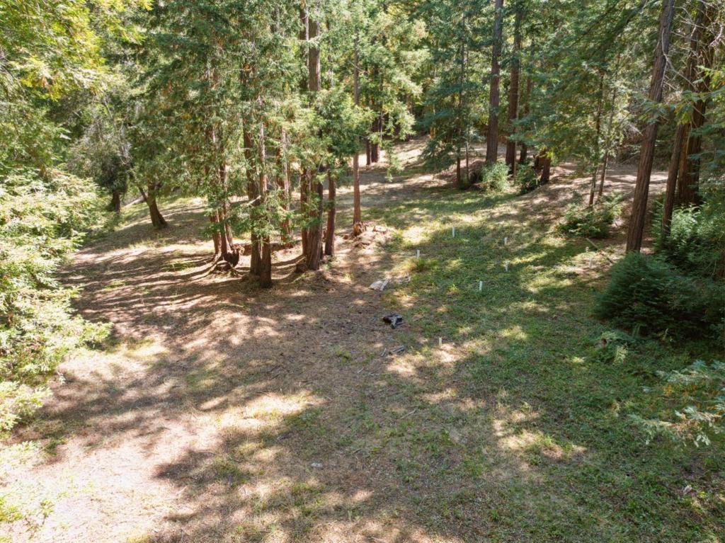 18880 Highway 9 Property Photo 33