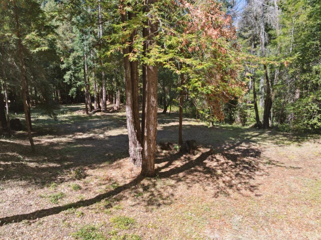 18880 Highway 9 Property Photo 35