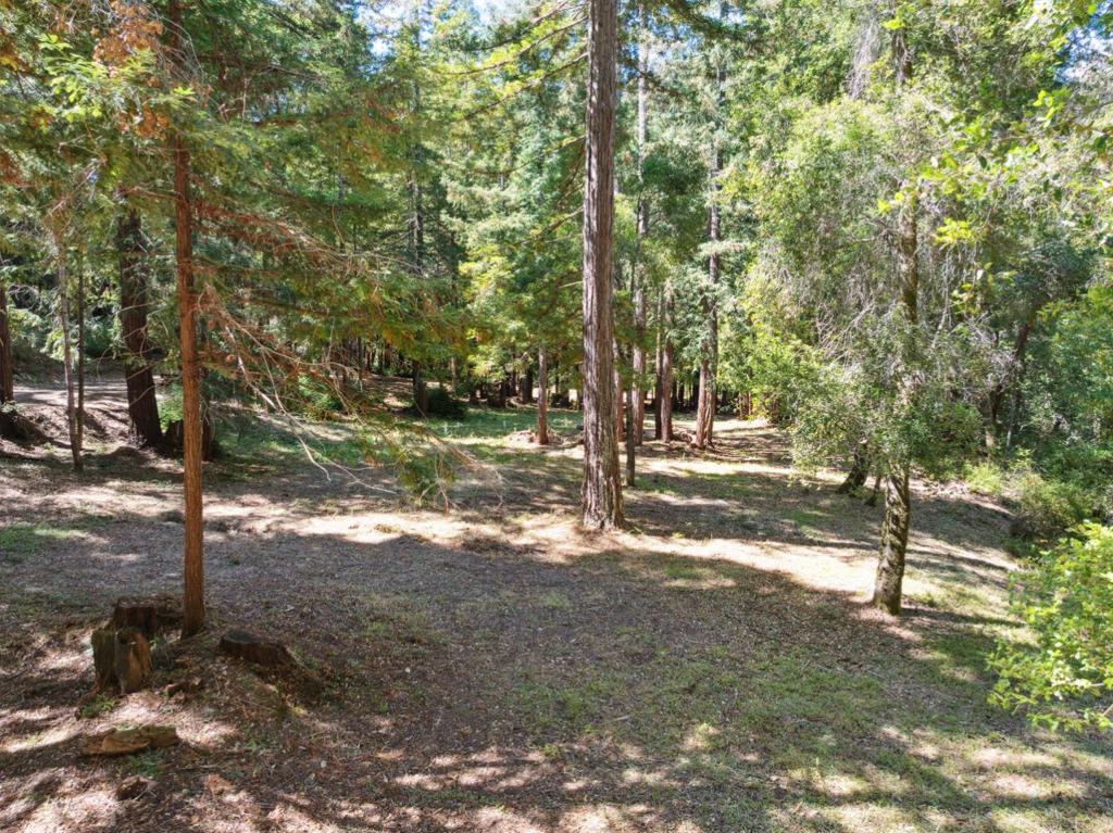 18880 Highway 9 Property Photo 37