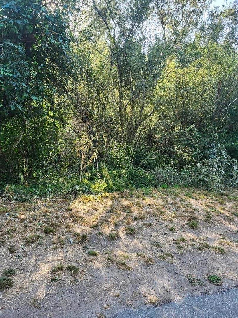 0 Senda Ladera Ln Property Photo 7