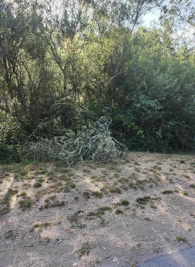 0 Senda Ladera Ln Property Photo 8