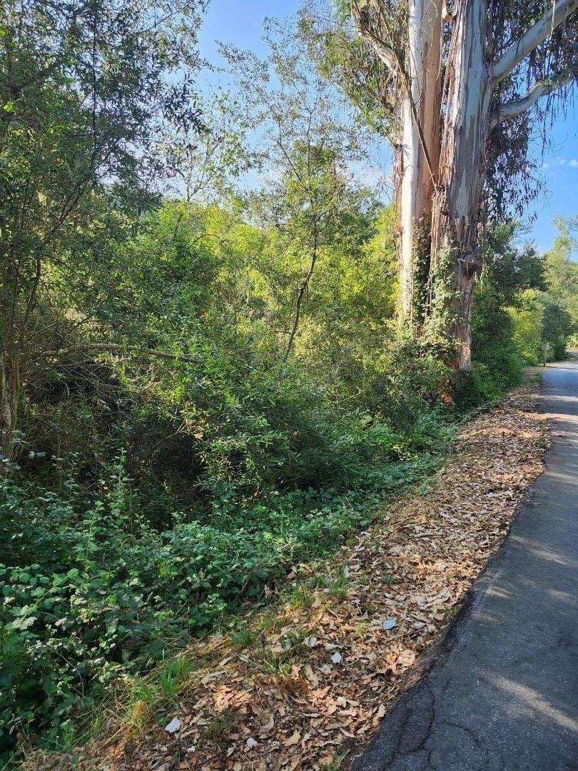 0 Senda Ladera Ln Property Photo 11
