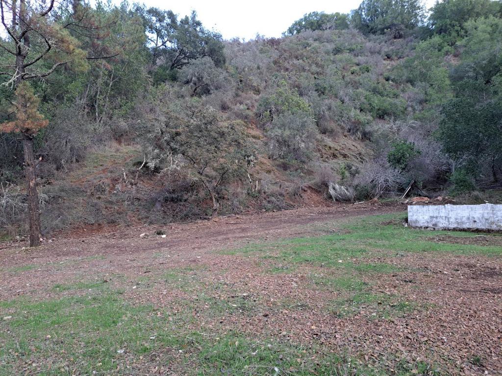 4417 Casa Loma Road Property Photo 1