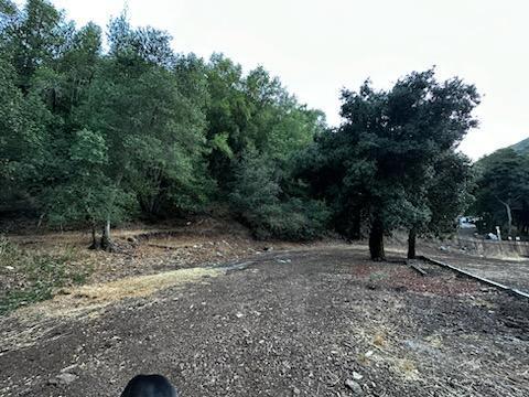 4417 Casa Loma Road Property Photo 7