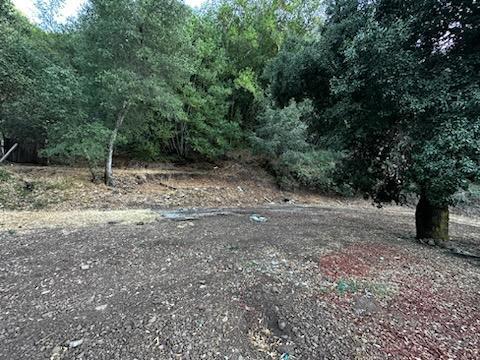 4417 Casa Loma Road Property Photo 11