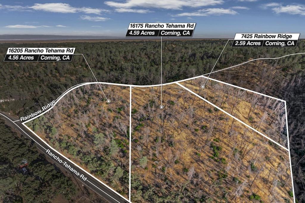16175 Rancho Tehama Road Property Photo 1