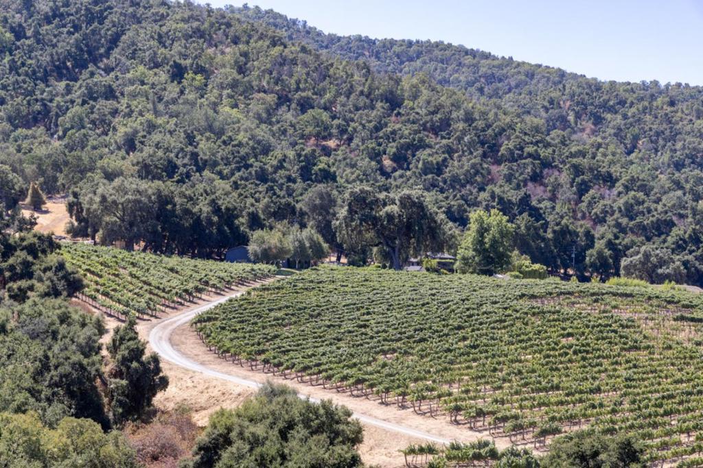 20300 Cachagua Road Property Photo 30