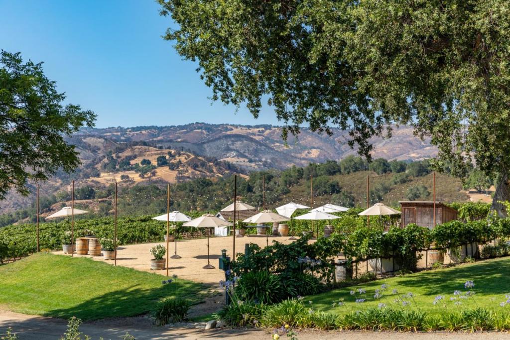 20300 Cachagua Road Property Photo 31