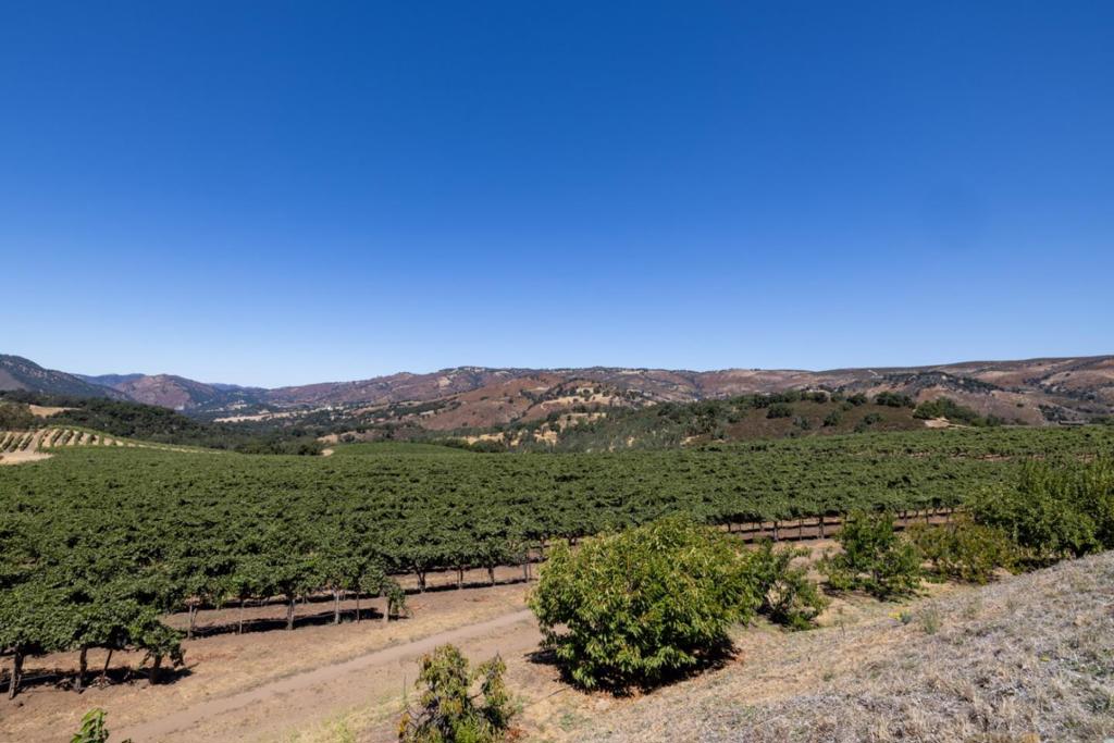 20300 Cachagua Road Property Photo 36
