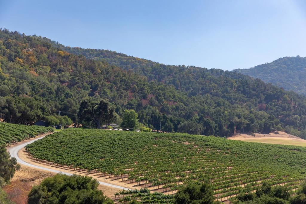 20300 Cachagua Road Property Photo 37