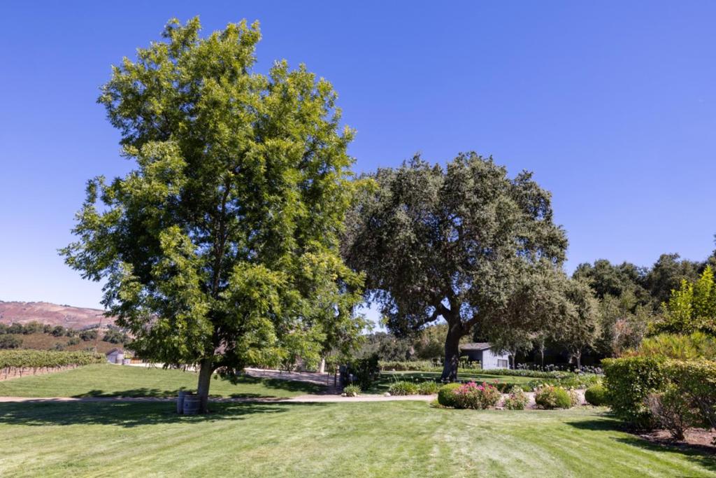 20300 Cachagua Road Property Photo 39