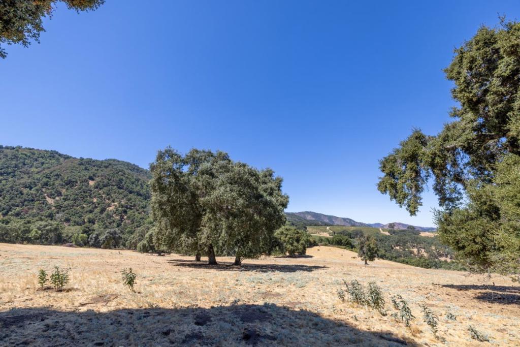 20300 Cachagua Road Property Photo 40