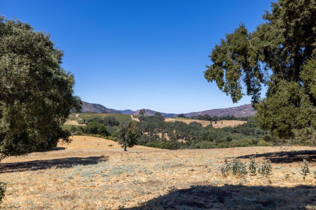 20300 Cachagua Road Property Photo 41