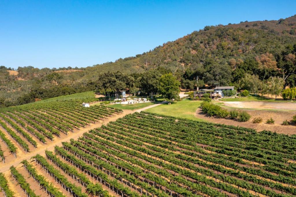 20300 Cachagua Road Property Photo 46