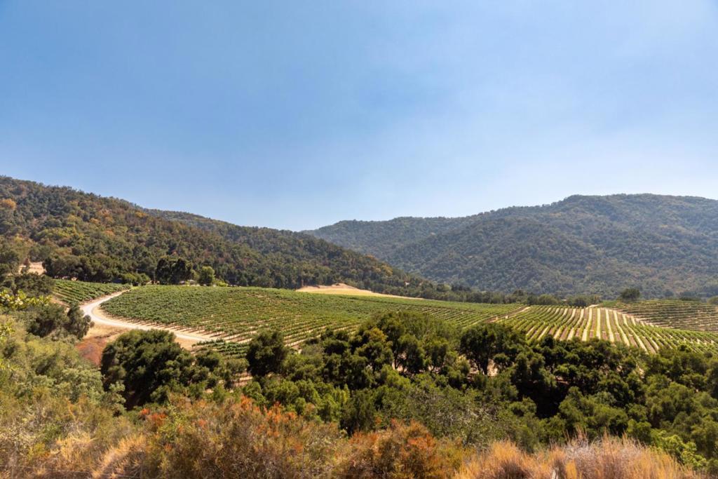 20300 Cachagua Road Property Photo 47