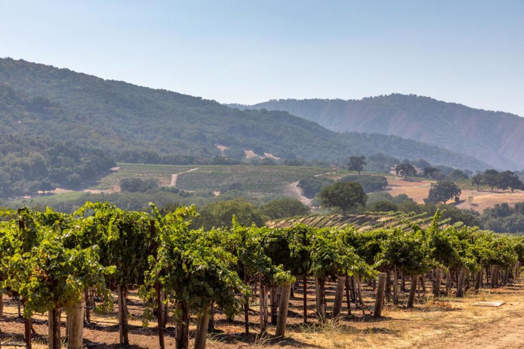20300 Cachagua Road Property Photo 49