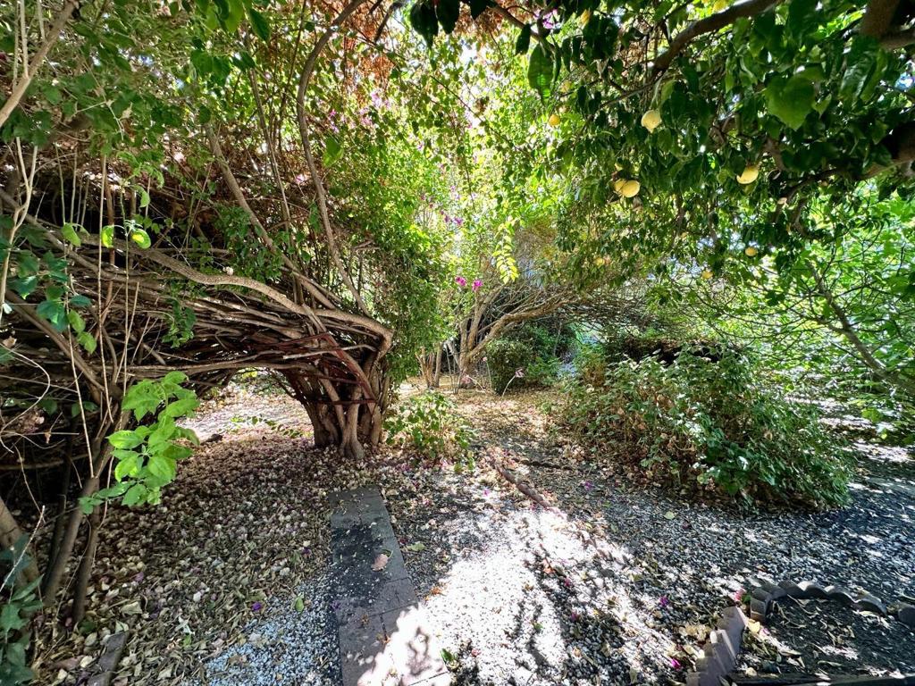 1077 Washington Street Property Photo 3