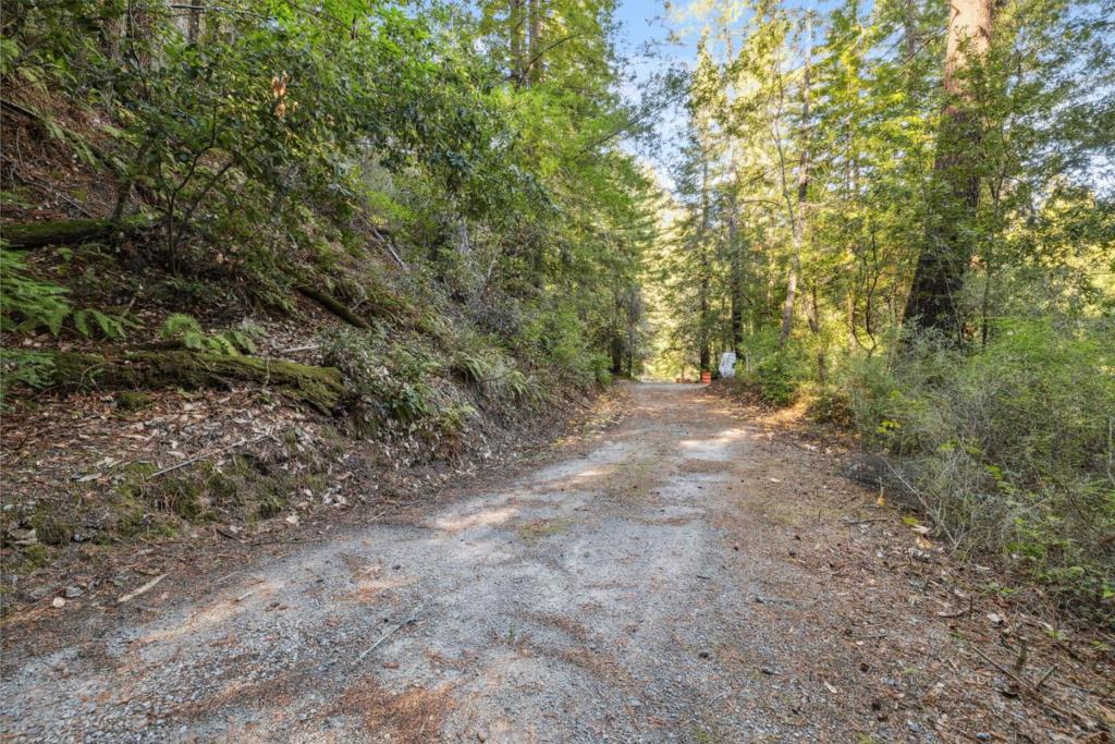 24140 Schulties Road Property Photo 24