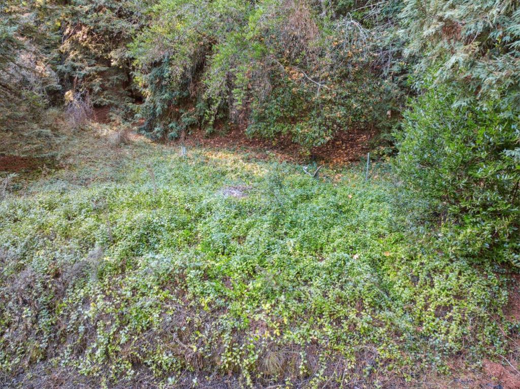 24140 Schulties Road Property Photo 41