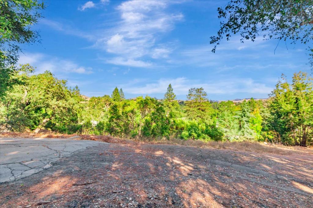 0 Hamlin Road Property Photo