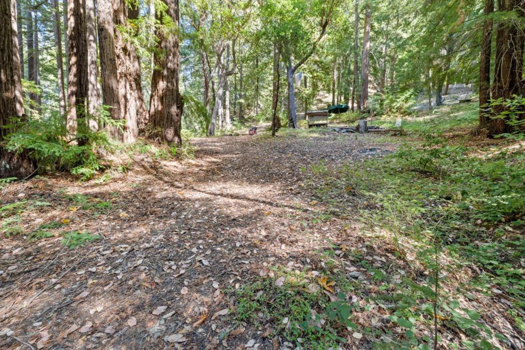 19900 Kings Creek Road Property Photo 1