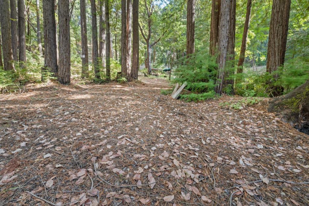 19900 Kings Creek Road Property Photo 2