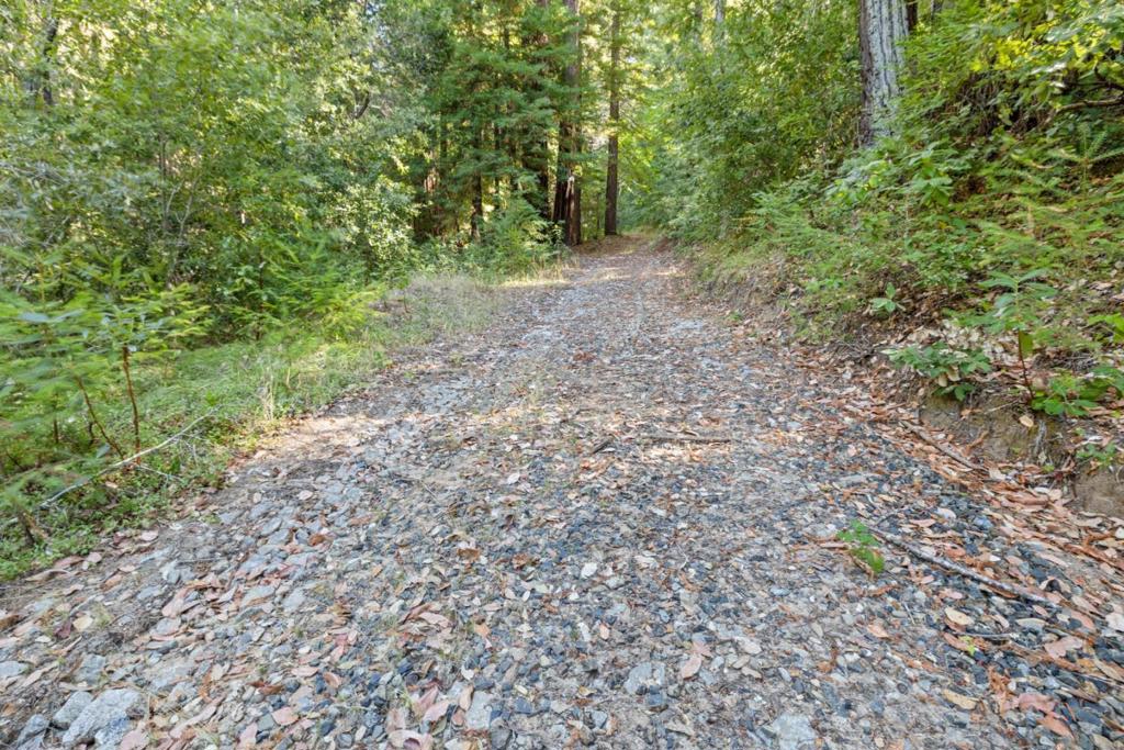 19900 Kings Creek Road Property Photo 3