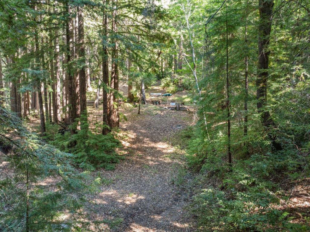 19900 Kings Creek Road Property Photo 5