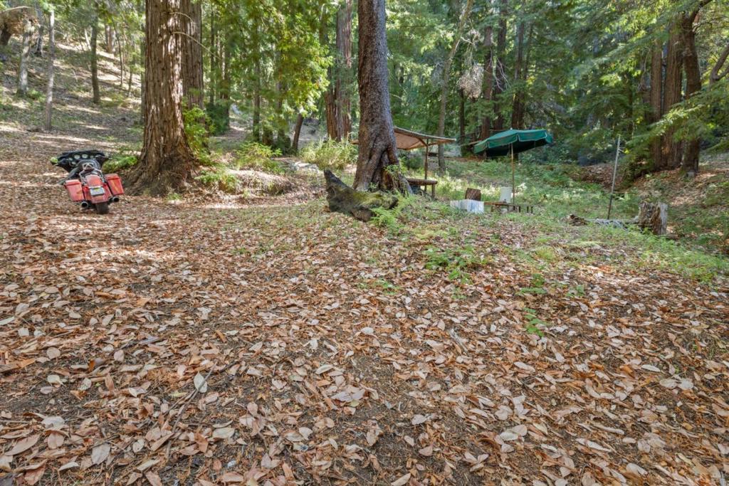 19900 Kings Creek Road Property Photo 9