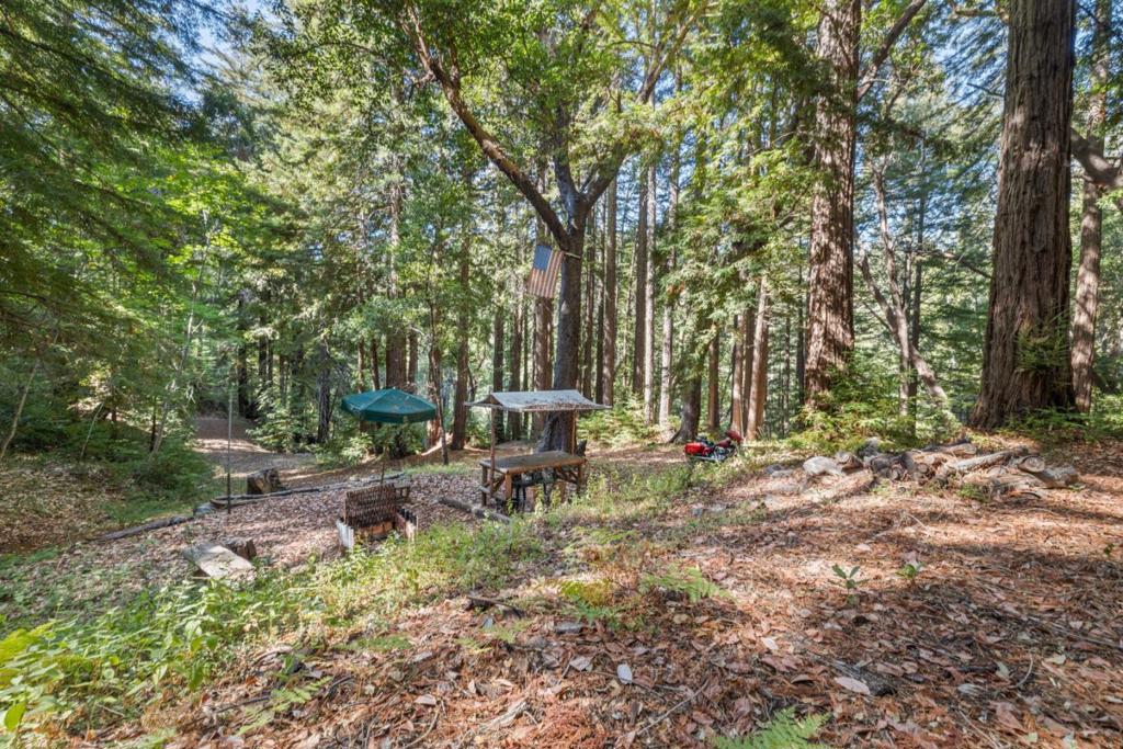 19900 Kings Creek Road Property Photo 12