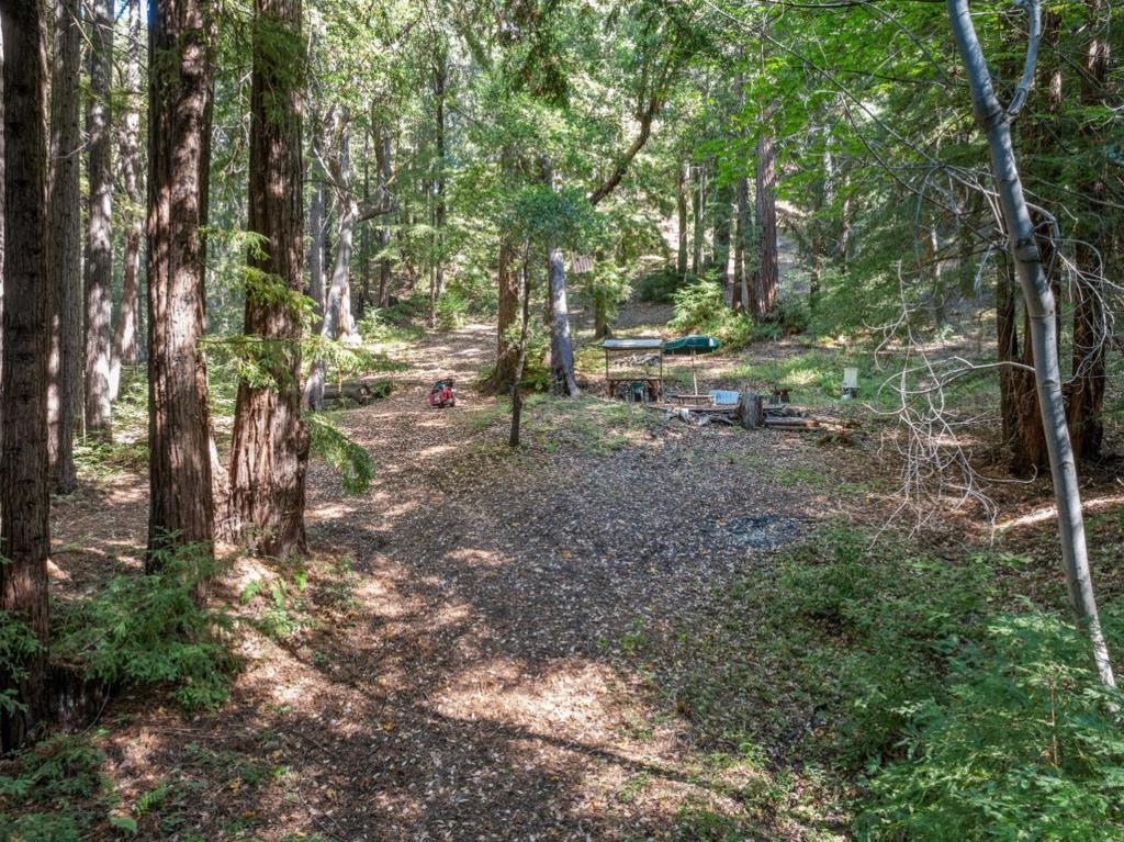 19900 Kings Creek Road Property Photo 13
