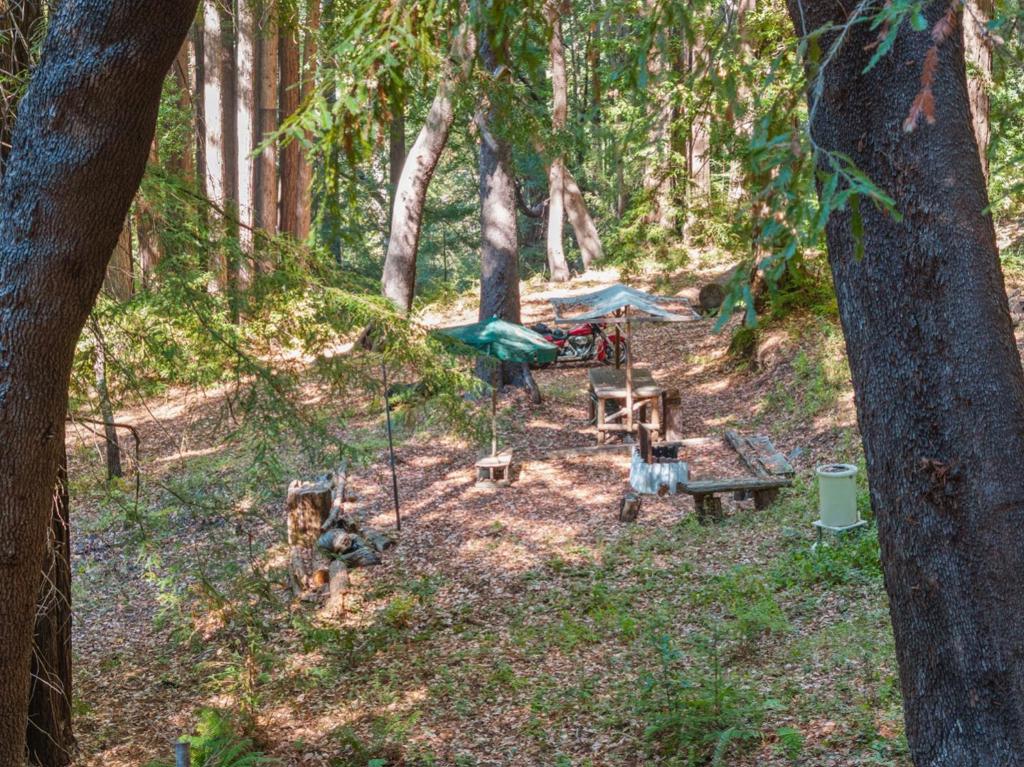 19900 Kings Creek Road Property Photo 15
