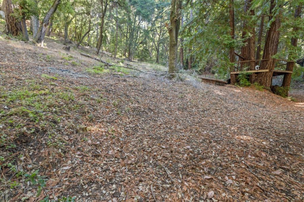 19900 Kings Creek Road Property Photo 16