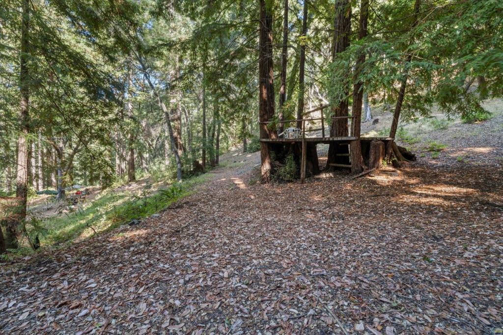 19900 Kings Creek Road Property Photo 17