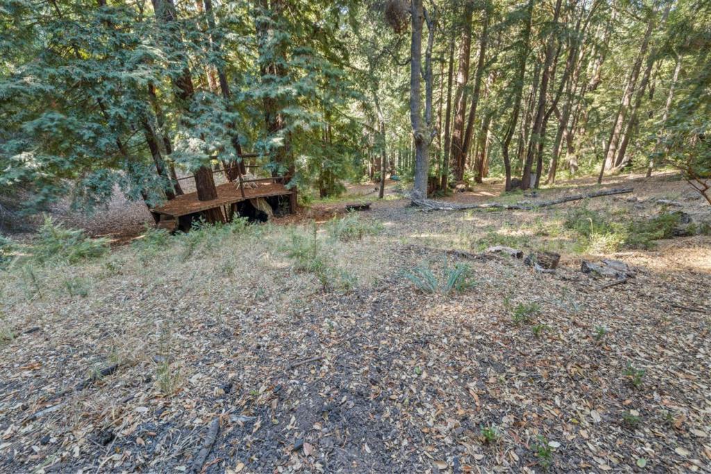 19900 Kings Creek Road Property Photo 18