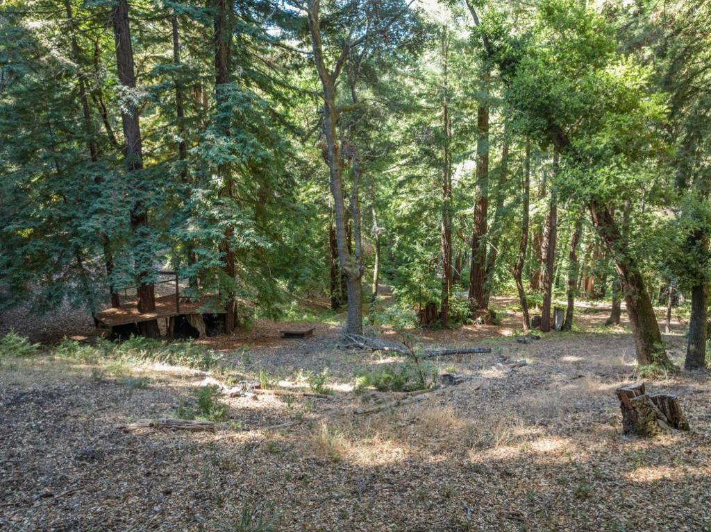 19900 Kings Creek Road Property Photo 19