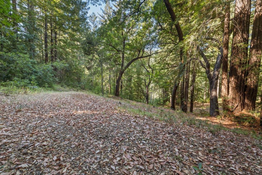 19900 Kings Creek Road Property Photo 23