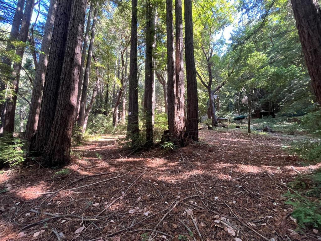 19900 Kings Creek Road Property Photo 26