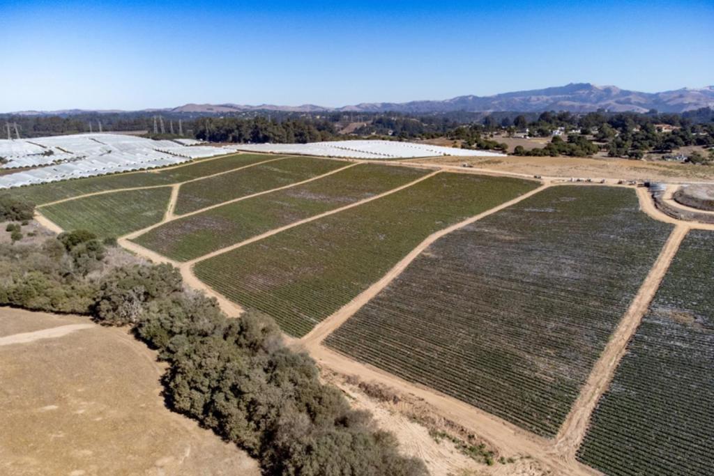 16475 Blackie Road Property Photo