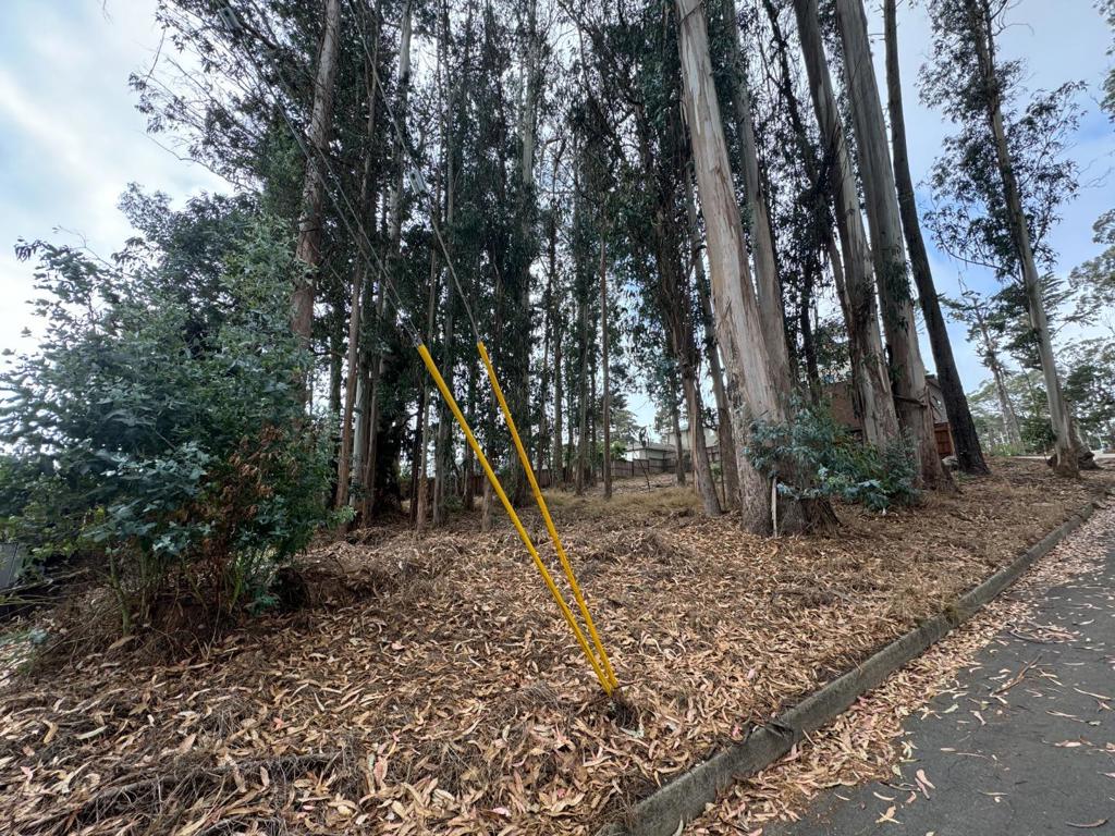 422 The Alameda Property Photo