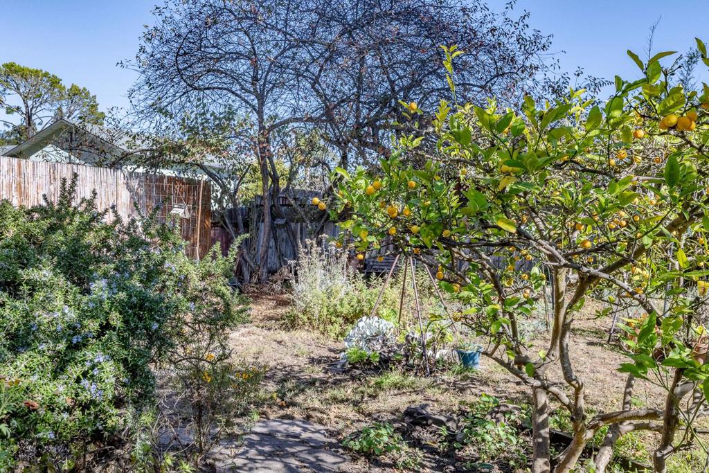 2901 Sandy Lane Property Photo 40