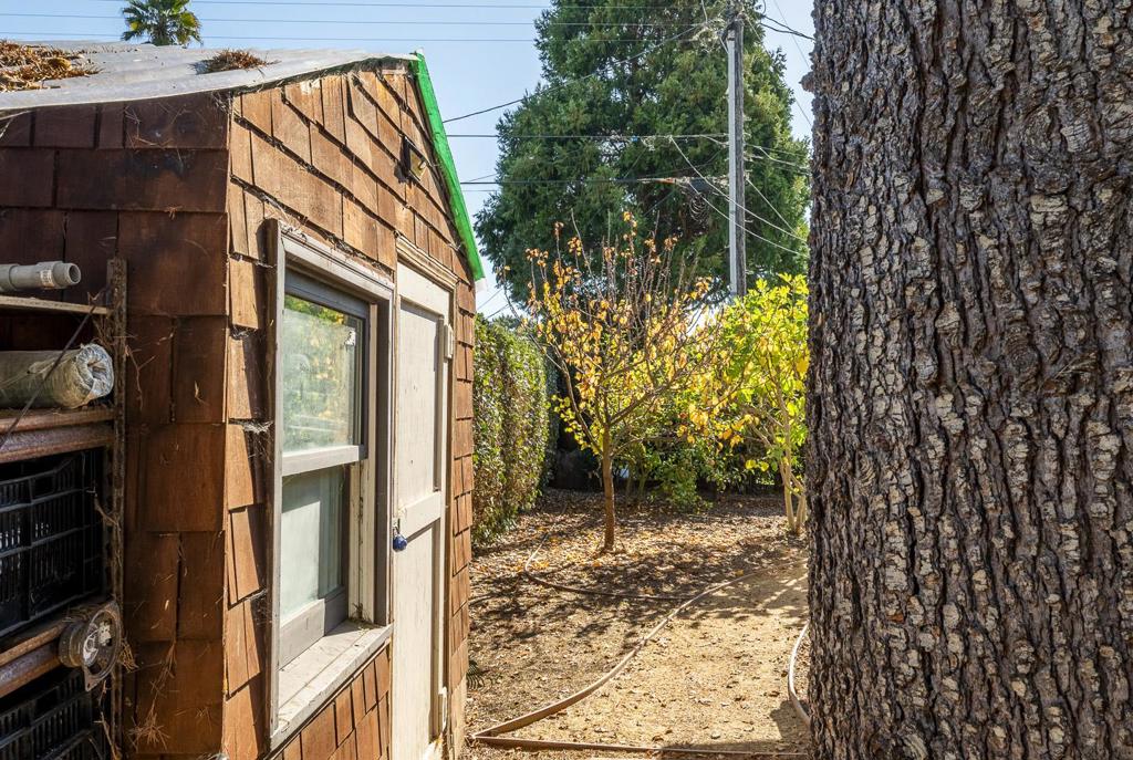 2901 Sandy Lane Property Photo 41