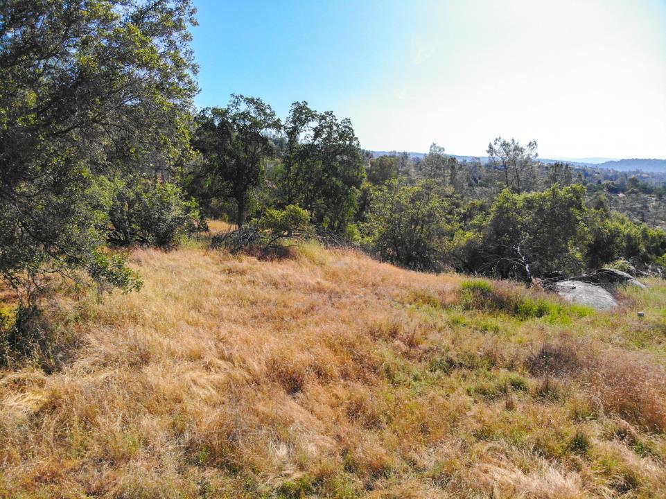 0 Long Hollow Drive Property Photo 2