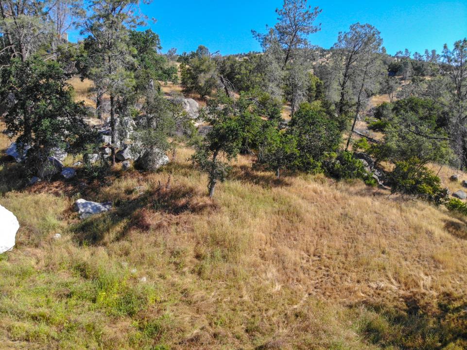 0 Long Hollow Drive Property Photo 3