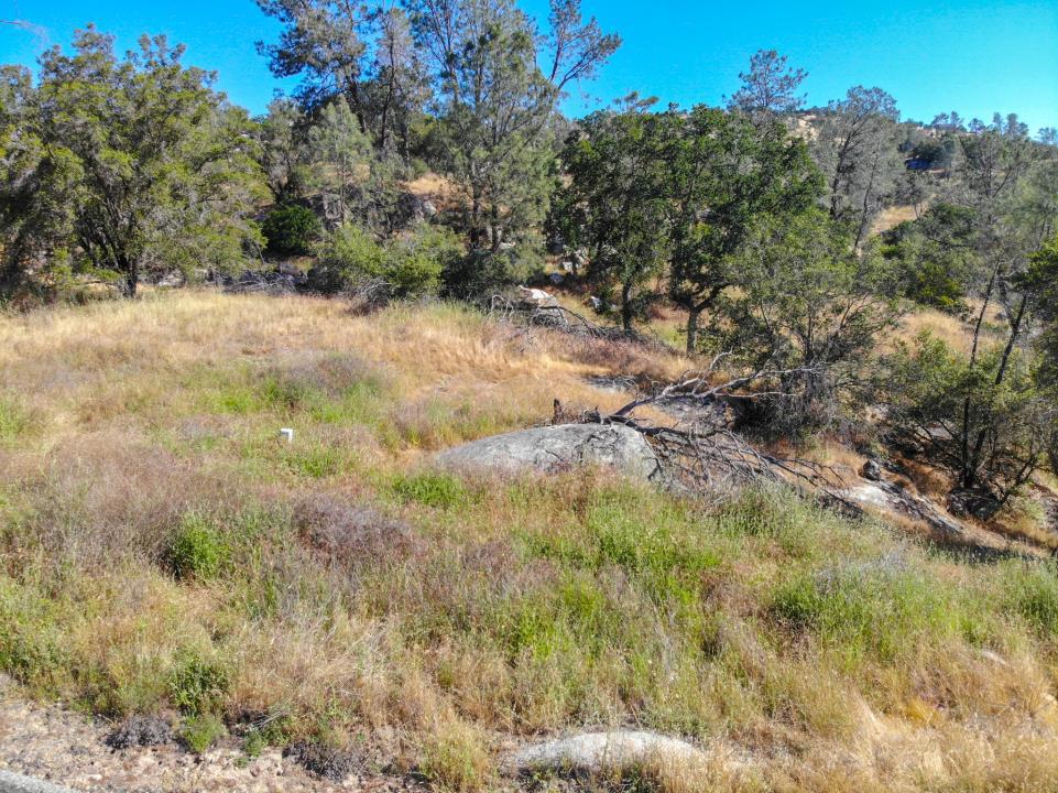 0 Long Hollow Drive Property Photo 6