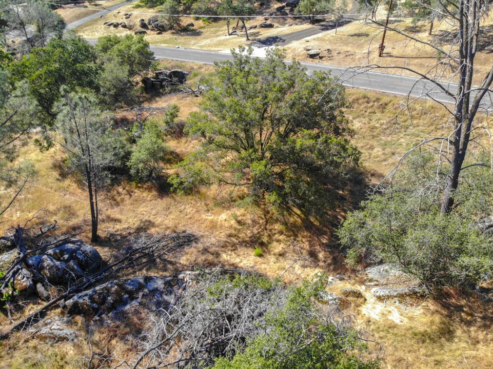 0 Long Hollow Drive Property Photo 11