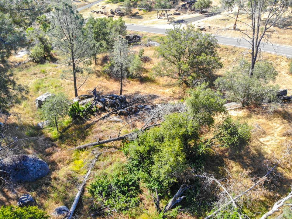 0 Long Hollow Drive Property Photo 12